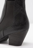 RAID - FLICK - Boots à talons - black
